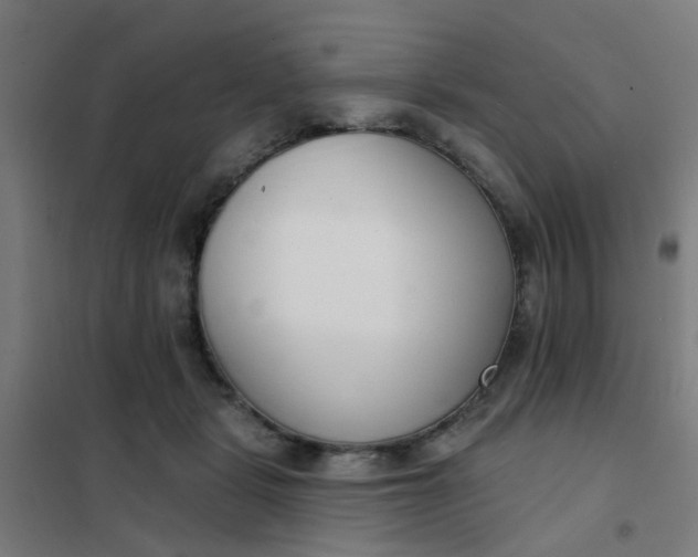 X0000101700461200807241437