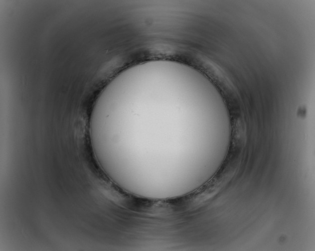 X0000101700463200807241437