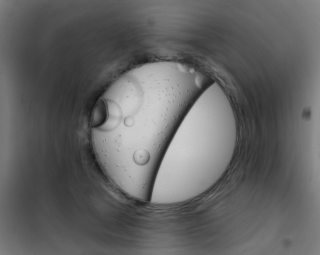 X0000101700465200807241437