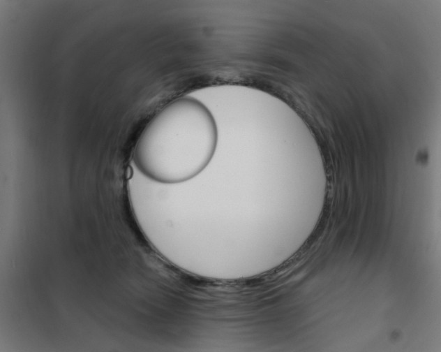 X0000101700466200807241437