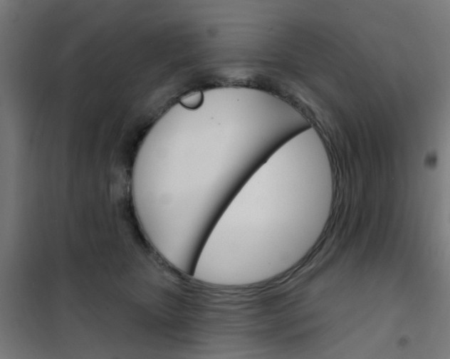 X0000101700467200807241437