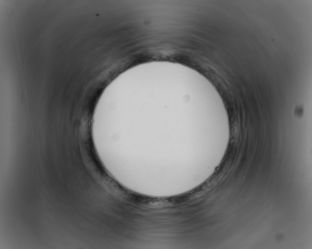 X0000101700468200807241437