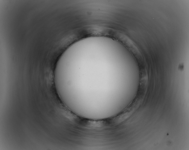 X0000101700469200807241437