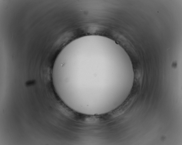 X0000101700470200807241437