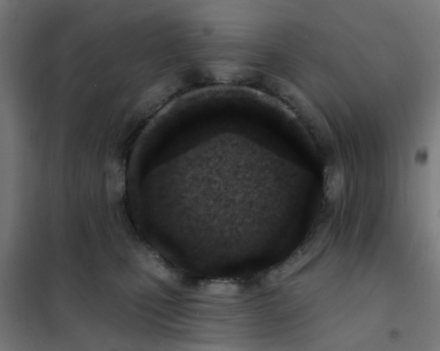 X0000101700471200807241437