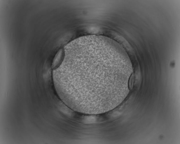 X0000101700473200807241437