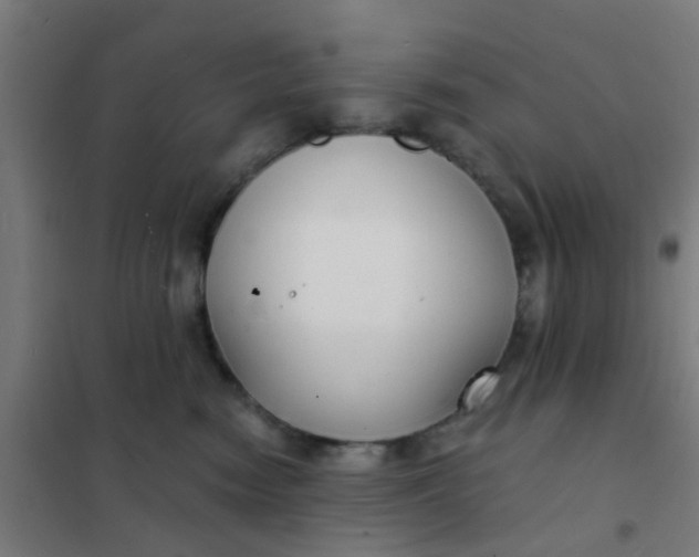 X0000101700474200807241437