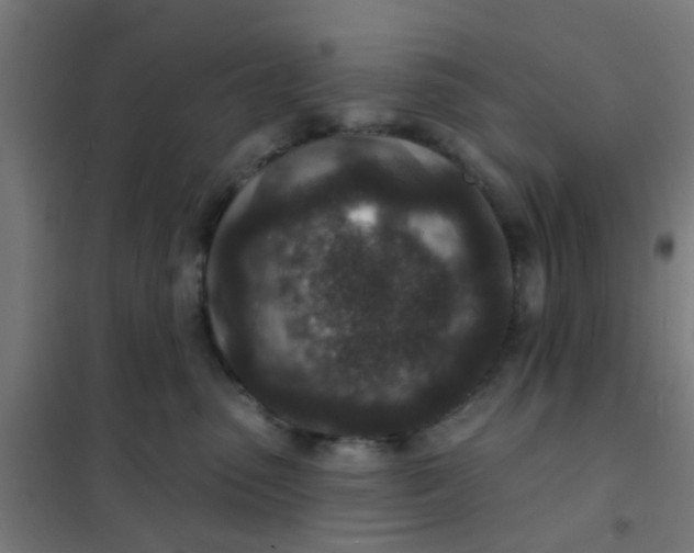 X0000101700475200807241437