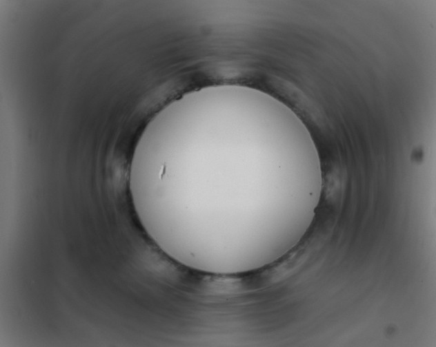 X0000101700476200807241437