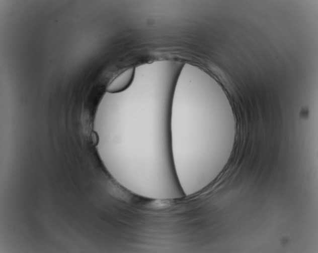 X0000101700477200807241437