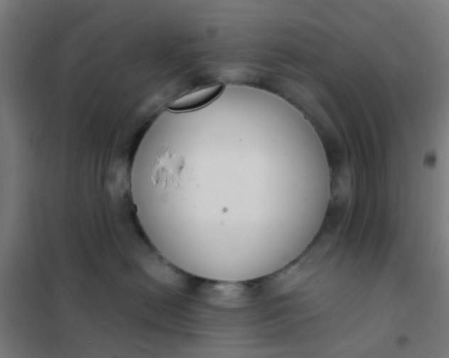 X0000101700478200807241437