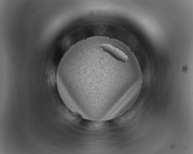 X0000101700479200807241437