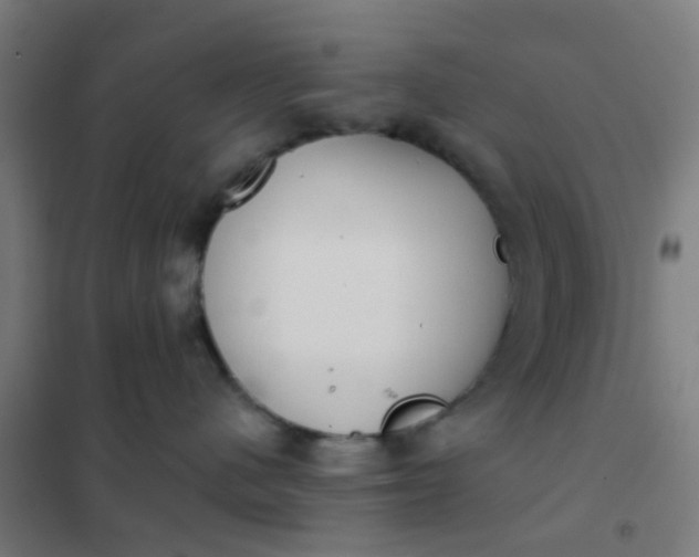 X0000101700480200807241437