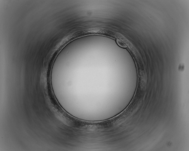 X0000101700482200807241436