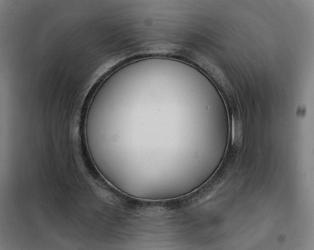 X0000101700483200807241436