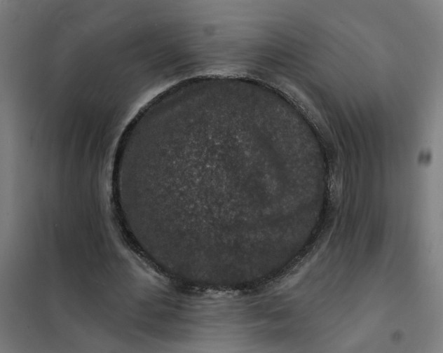 X0000101700484200807241436