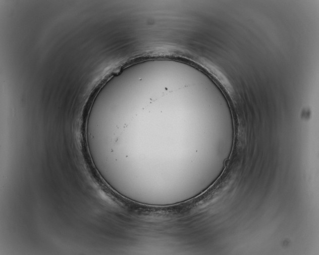 X0000101700485200807241436