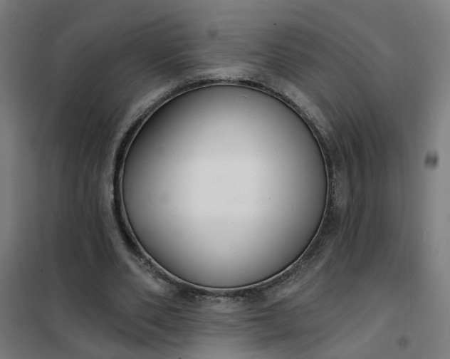 X0000101700486200807241436