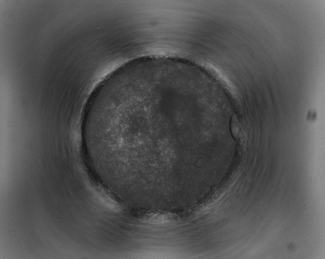 X0000101700488200807241436