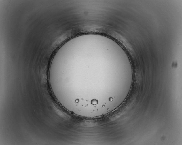 X0000101700489200807241436