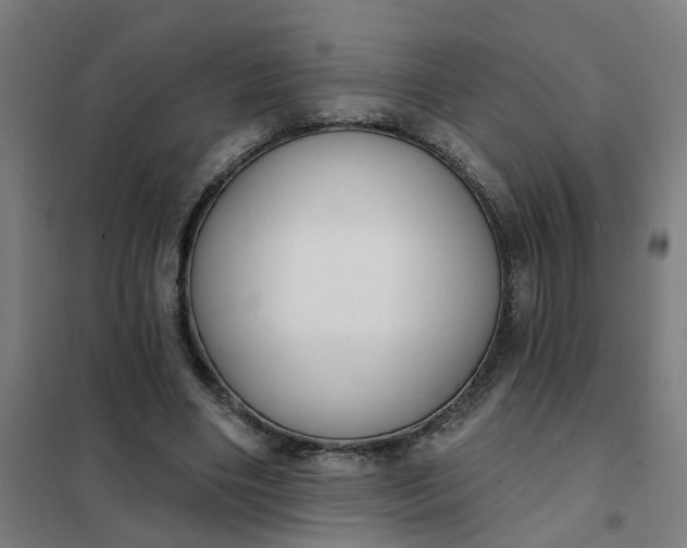 X0000101700490200807241436