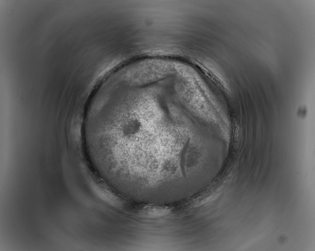 X0000101700491200807241436