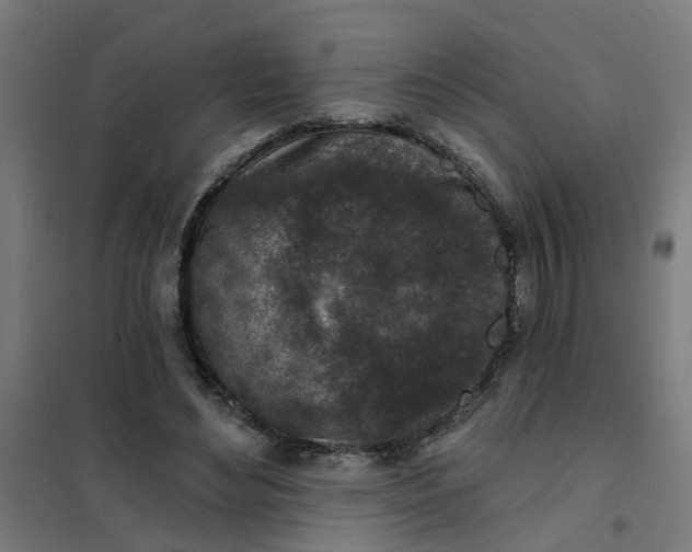 X0000101700492200807241436