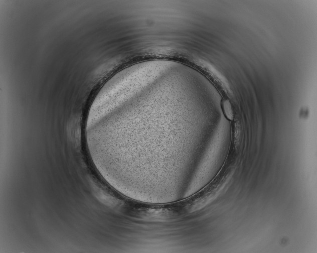 X0000101700493200807241436