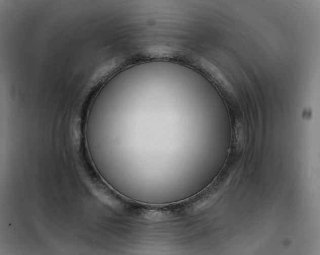 X0000101700494200807241436