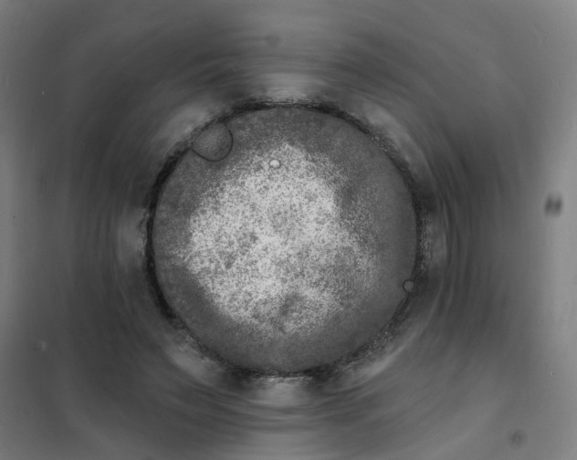 X0000101700495200807241436