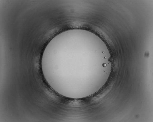 X0000101700497200807241436