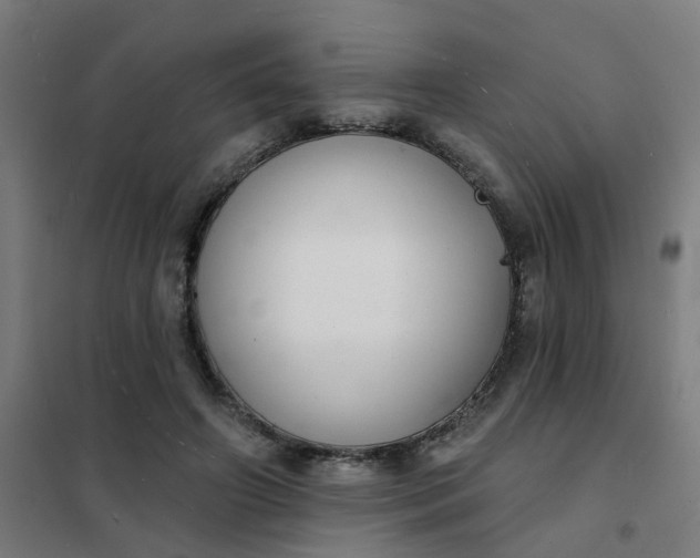 X0000101700498200807241436