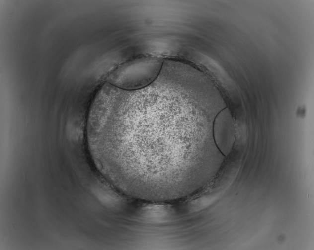 X0000101700499200807241436