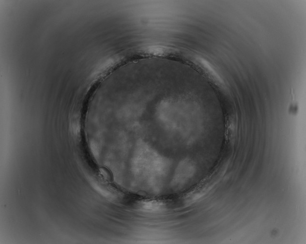 X0000101700500200807241436