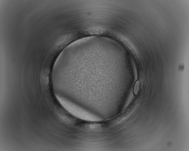 X0000101700501200807241436