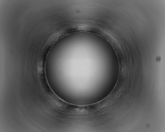 X0000101700502200807241436