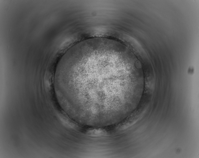 X0000101700503200807241436