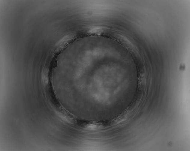 X0000101700504200807241436