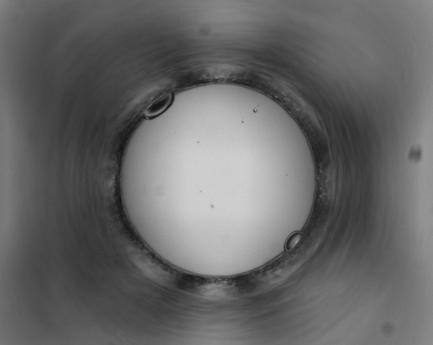 X0000101700505200807241436