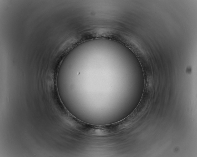 X0000101700506200807241436