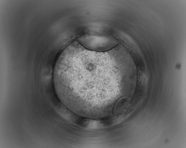 X0000101700507200807241436