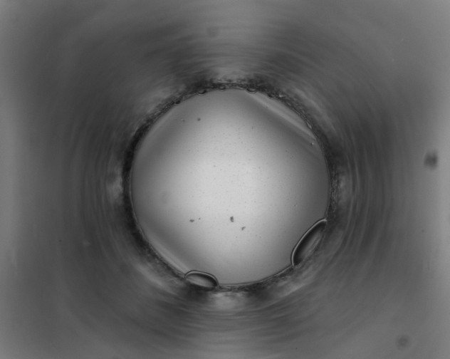 X0000101700508200807241436