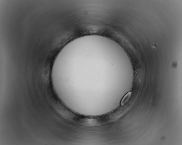 X0000101700509200807241436