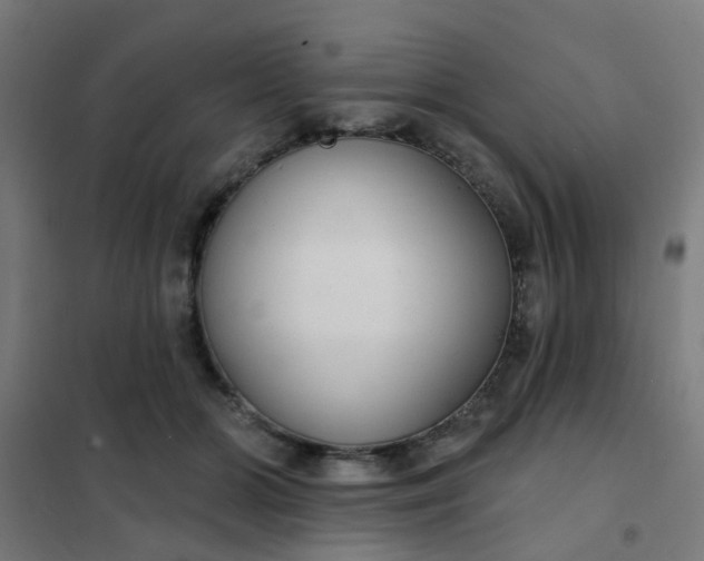 X0000101700510200807241436