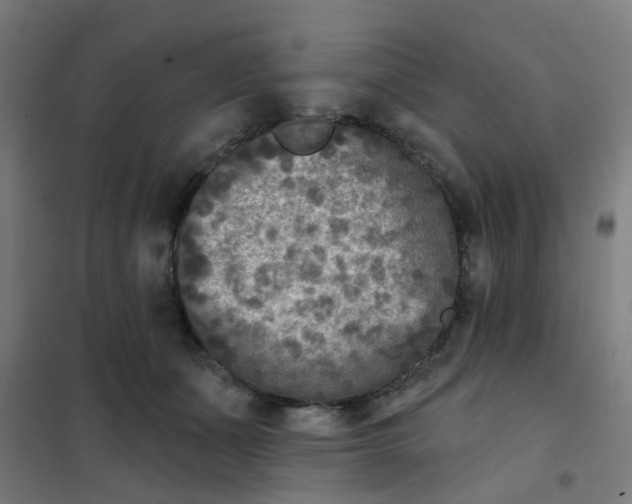 X0000101700511200807241436