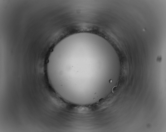 X0000101700512200807241436