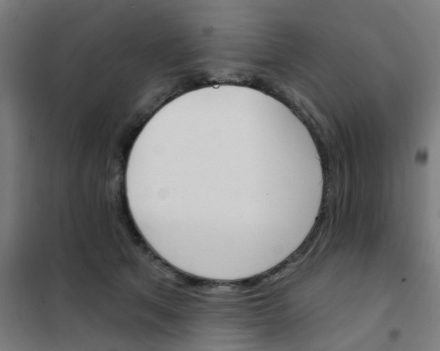 X0000101700513200807241436