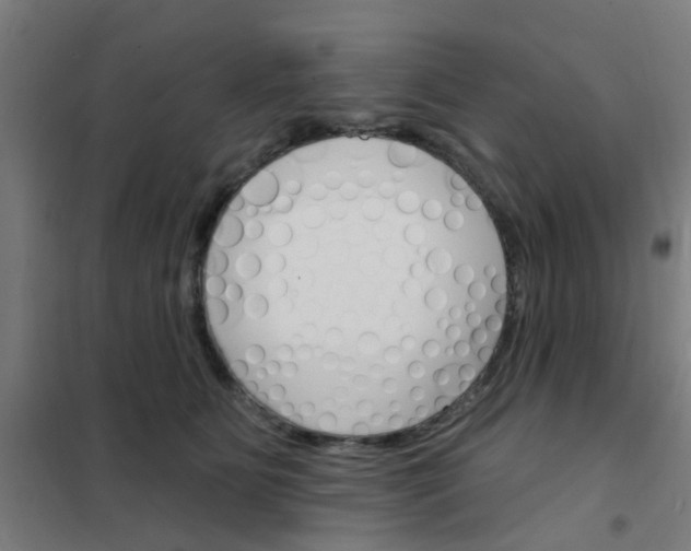 X0000101700515200807241436