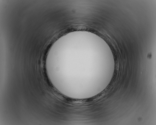 X0000101700516200807241436