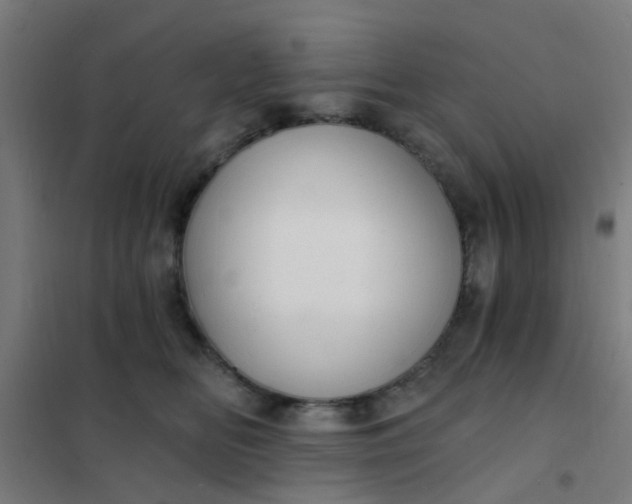 X0000101700518200807241436